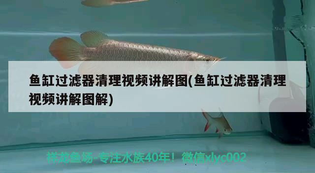 魚缸過濾器清理視頻講解圖(魚缸過濾器清理視頻講解圖解)