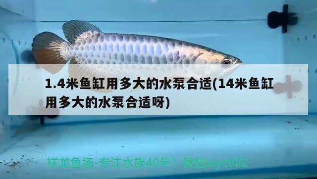 1.4米魚缸用多大的水泵合適(14米魚缸用多大的水泵合適呀)