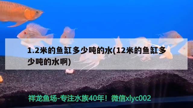 1.2米的魚缸多少噸的水(12米的魚缸多少噸的水啊)