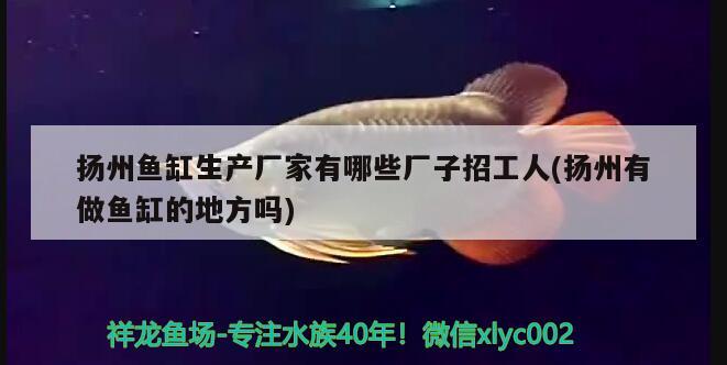 揚州魚缸生產(chǎn)廠家有哪些廠子招工人(揚州有做魚缸的地方嗎)