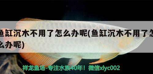 魚缸沉木不用了怎么辦呢(魚缸沉木不用了怎么辦呢) 銀古魚苗