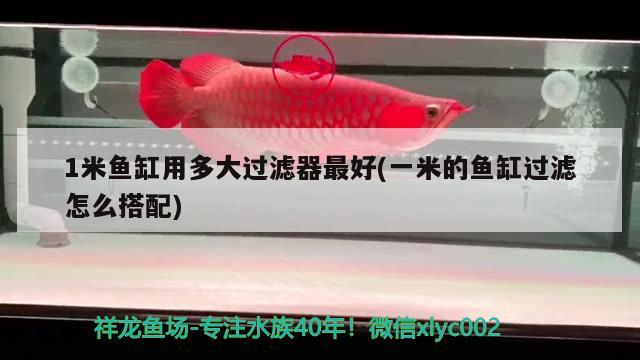 1米魚缸用多大過濾器最好(一米的魚缸過濾怎么搭配)