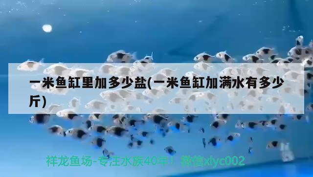 一米魚缸里加多少鹽(一米魚缸加滿水有多少斤) 觀賞魚魚苗