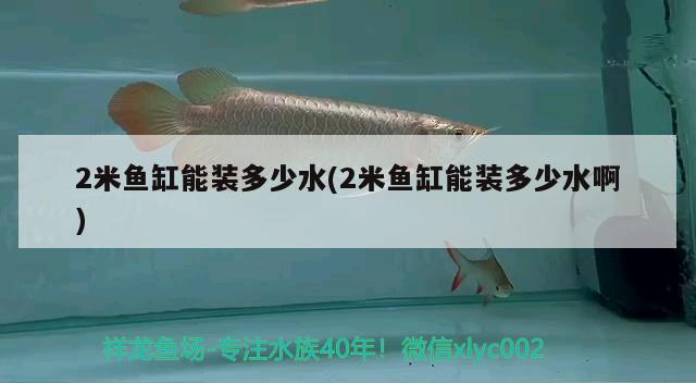 2米魚缸能裝多少水(2米魚缸能裝多少水啊)