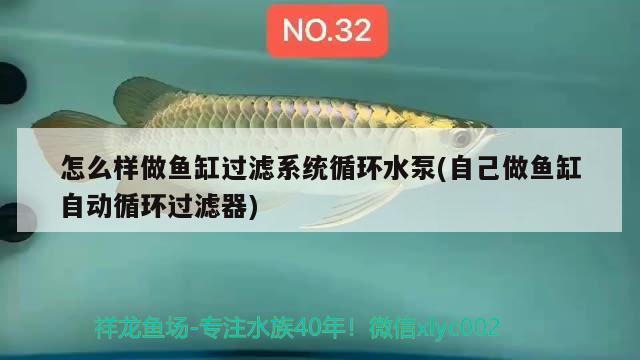 怎么樣做魚(yú)缸過(guò)濾系統(tǒng)循環(huán)水泵(自己做魚(yú)缸自動(dòng)循環(huán)過(guò)濾器)