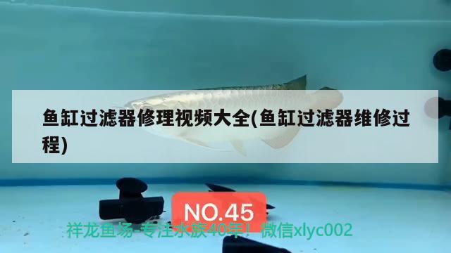 魚缸過濾器修理視頻大全(魚缸過濾器維修過程) 一眉道人魚苗