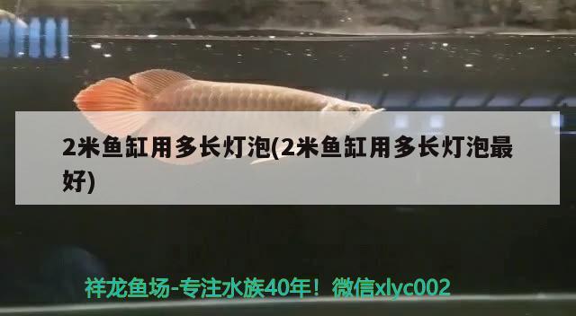 2米魚缸用多長燈泡(2米魚缸用多長燈泡最好)