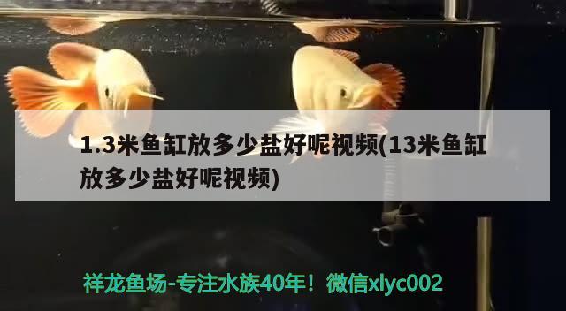 1.3米魚缸放多少鹽好呢視頻(13米魚缸放多少鹽好呢視頻) 觀賞魚