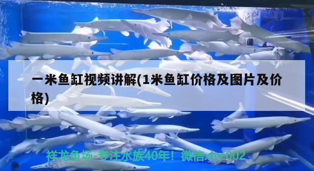 一米魚缸視頻講解(1米魚缸價(jià)格及圖片及價(jià)格) 祥龍水族濾材/器材