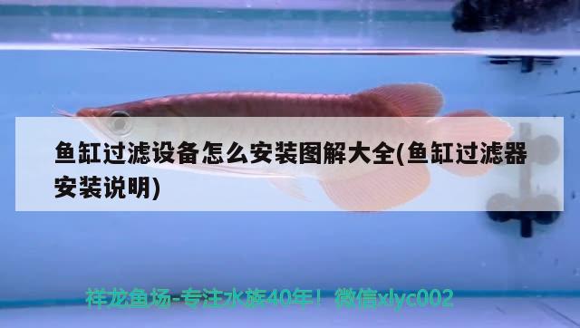 魚缸過(guò)濾設(shè)備怎么安裝圖解大全(魚缸過(guò)濾器安裝說(shuō)明)