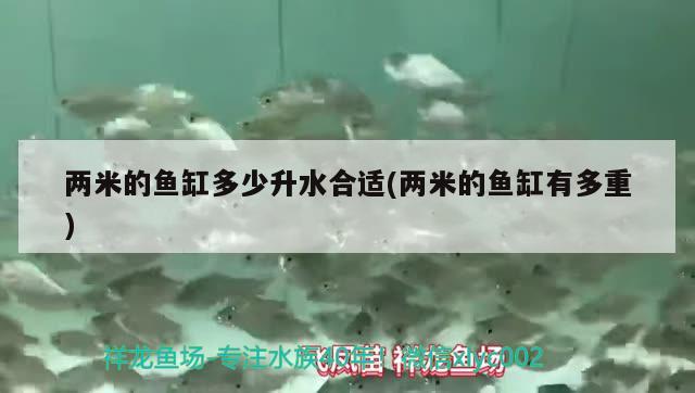 兩米的魚缸多少升水合適(兩米的魚缸有多重) 黑帝王魟魚