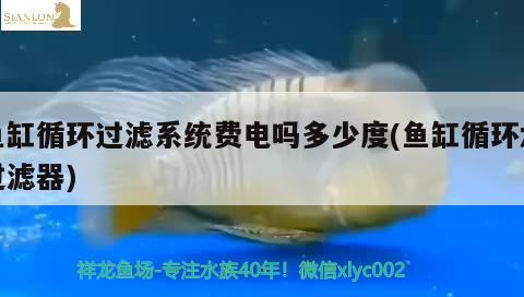 魚缸循環(huán)過濾系統(tǒng)費電嗎多少度(魚缸循環(huán)水過濾器) 溫控設(shè)備