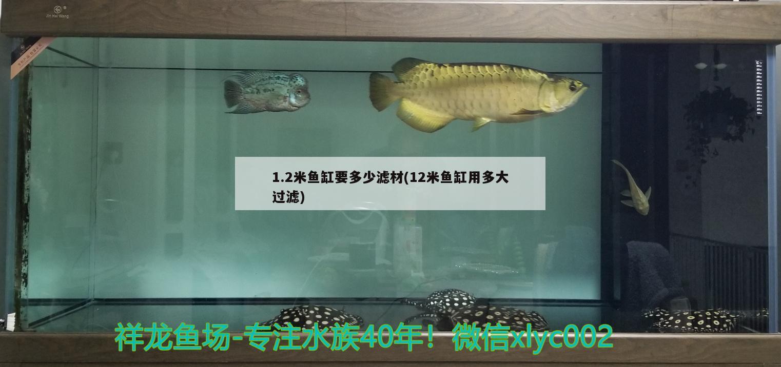 1.2米魚(yú)缸要多少濾材(12米魚(yú)缸用多大過(guò)濾)