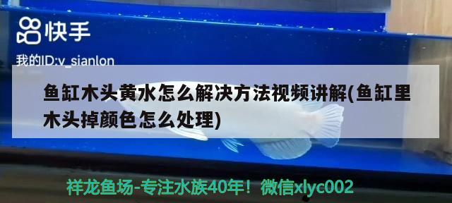 魚缸木頭黃水怎么解決方法視頻講解(魚缸里木頭掉顏色怎么處理) 觀賞魚企業(yè)目錄