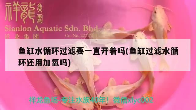 魚缸水循環(huán)過濾要一直開著嗎(魚缸過濾水循環(huán)還用加氧嗎)