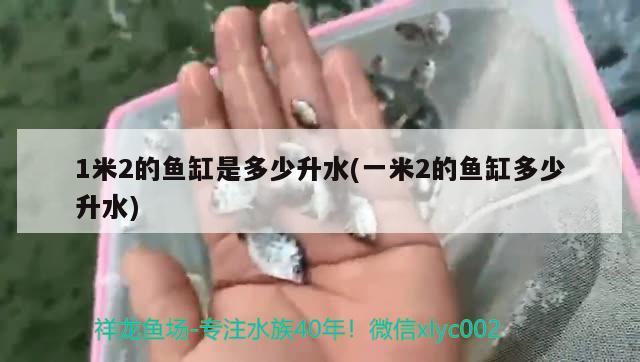 1米2的魚缸是多少升水(一米2的魚缸多少升水)