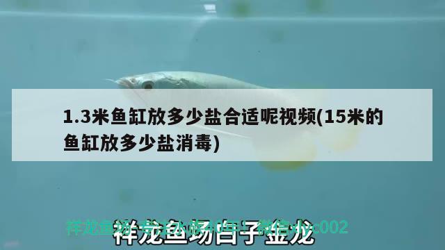 1.3米魚缸放多少鹽合適呢視頻(15米的魚缸放多少鹽消毒)