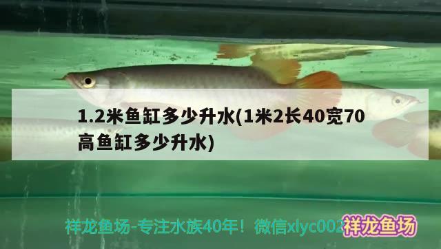 1.2米魚缸多少升水(1米2長40寬70高魚缸多少升水)