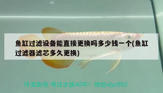 魚缸過濾設備能直接更換嗎多少錢一個(魚缸過濾器濾芯多久更換)