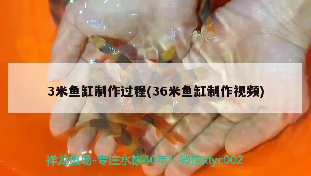 3米魚缸制作過程(36米魚缸制作視頻) 祥禾Super Red紅龍魚