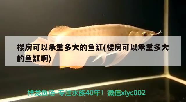 樓房可以承重多大的魚缸(樓房可以承重多大的魚缸啊)