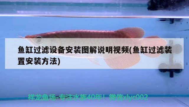 魚缸過濾設備安裝圖解說明視頻(魚缸過濾裝置安裝方法) 過濾設備