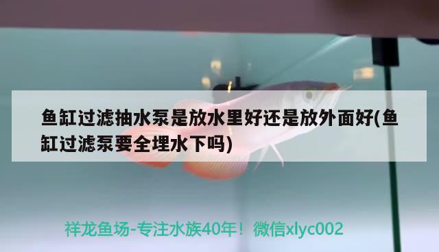 魚缸過濾抽水泵是放水里好還是放外面好(魚缸過濾泵要全埋水下嗎)