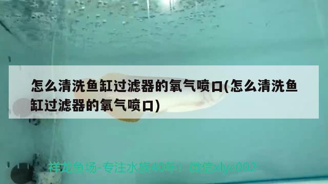 怎么清洗魚缸過濾器的氧氣噴口(怎么清洗魚缸過濾器的氧氣噴口) 熊貓異形魚L46