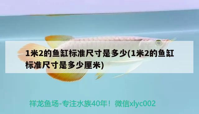 1米2的魚(yú)缸標(biāo)準(zhǔn)尺寸是多少(1米2的魚(yú)缸標(biāo)準(zhǔn)尺寸是多少厘米) 七紋巨鯉魚(yú)