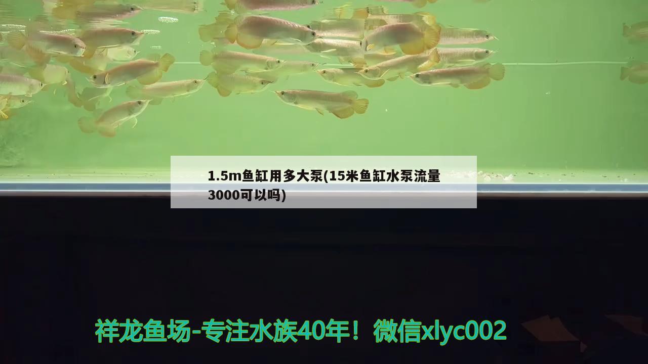 1.5m魚缸用多大泵(15米魚缸水泵流量3000可以嗎) 魚缸水泵