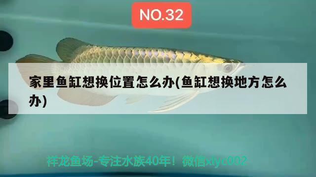 家里魚缸想換位置怎么辦(魚缸想換地方怎么辦)