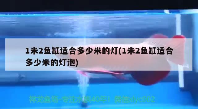 1米2魚(yú)缸適合多少米的燈(1米2魚(yú)缸適合多少米的燈泡) 撒旦鴨嘴魚(yú) 第2張