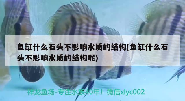 魚(yú)缸什么石頭不影響水質(zhì)的結(jié)構(gòu)(魚(yú)缸什么石頭不影響水質(zhì)的結(jié)構(gòu)呢)