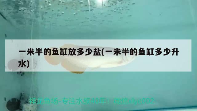 一米半的魚(yú)缸放多少鹽(一米半的魚(yú)缸多少升水) 胭脂孔雀龍魚(yú)