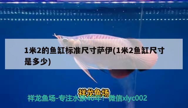 1米2的魚缸標(biāo)準(zhǔn)尺寸薩伊(1米2魚缸尺寸是多少)