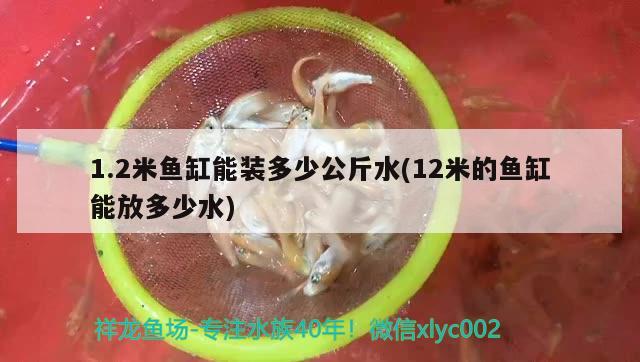 1.2米魚缸能裝多少公斤水(12米的魚缸能放多少水)