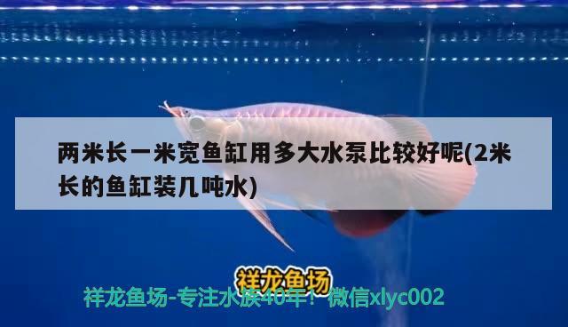 兩米長(zhǎng)一米寬魚(yú)缸用多大水泵比較好呢(2米長(zhǎng)的魚(yú)缸裝幾噸水)