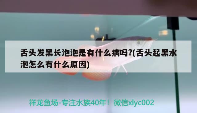 舌頭發(fā)黑長泡泡是有什么病嗎?(舌頭起黑水泡怎么有什么原因) 觀賞魚