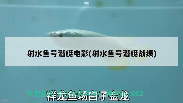 射水魚(yú)號(hào)潛艇電影(射水魚(yú)號(hào)潛艇戰(zhàn)績(jī)) 觀賞魚(yú)