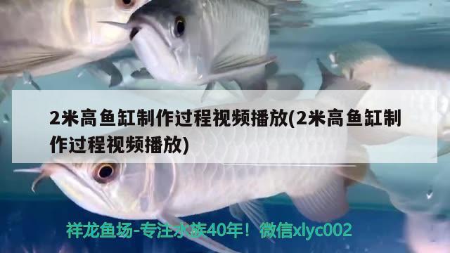 2米高魚缸制作過程視頻播放(2米高魚缸制作過程視頻播放) 水族雜談