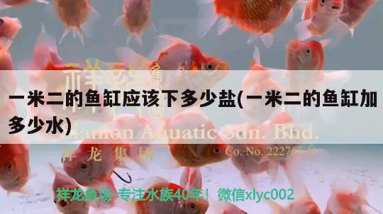 一米二的魚缸應(yīng)該下多少鹽(一米二的魚缸加多少水)