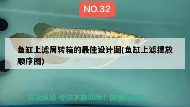 魚缸上濾周轉(zhuǎn)箱的最佳設(shè)計圖(魚缸上濾擺放順序圖)