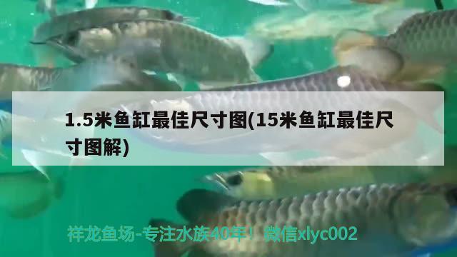 1.5米魚缸最佳尺寸圖(15米魚缸最佳尺寸圖解)