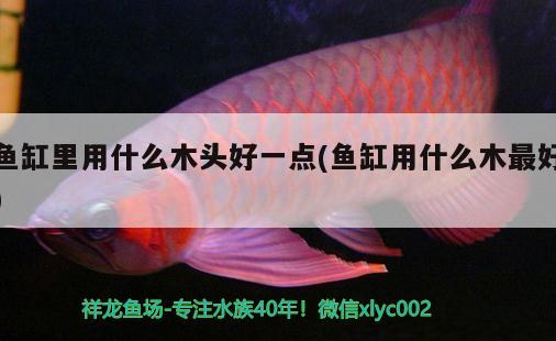 魚(yú)缸里用什么木頭好一點(diǎn)(魚(yú)缸用什么木最好)