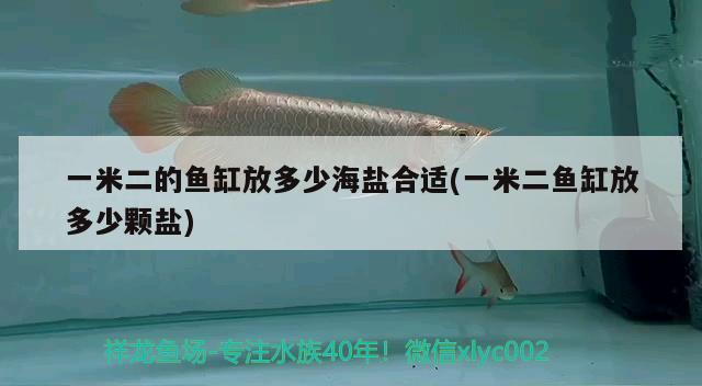 一米二的魚缸放多少海鹽合適(一米二魚缸放多少顆鹽)