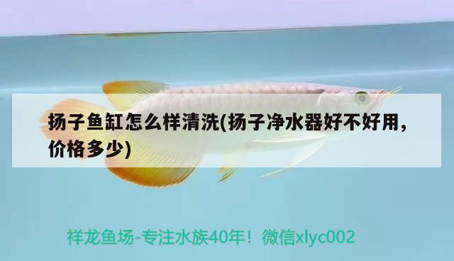 揚(yáng)子魚(yú)缸怎么樣清洗(揚(yáng)子凈水器好不好用,價(jià)格多少) 暹羅巨鯉 第1張