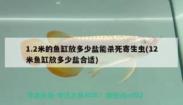 1.2米的魚缸放多少鹽能殺死寄生蟲(12米魚缸放多少鹽合適)