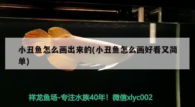 小丑魚怎么畫出來的(小丑魚怎么畫好看又簡單) 海水魚