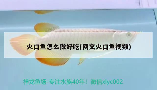 火口魚怎么做好吃(網(wǎng)文火口魚視頻) 觀賞魚