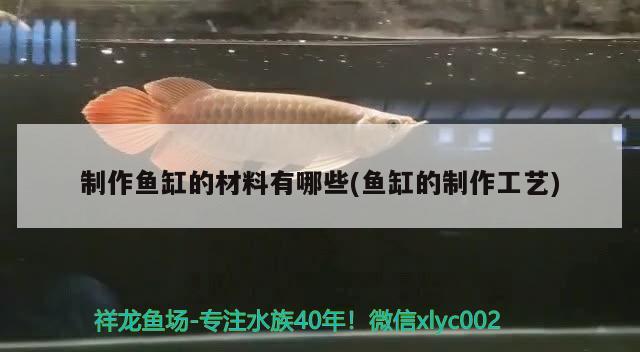 制作魚缸的材料有哪些(魚缸的制作工藝) 廣州祥龍國際水族貿(mào)易